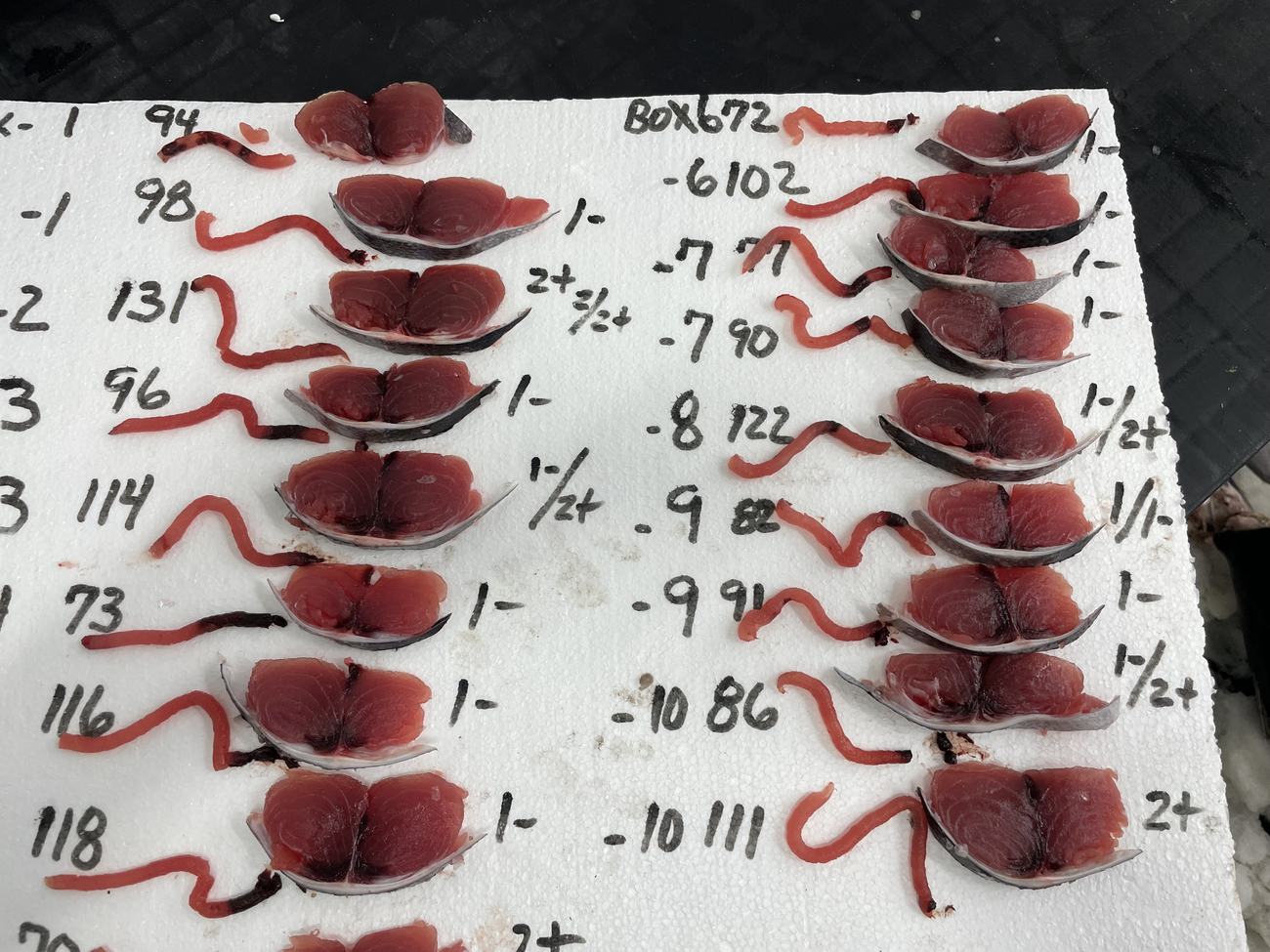 Tail cuts laid out on the grading board with grades written beside each