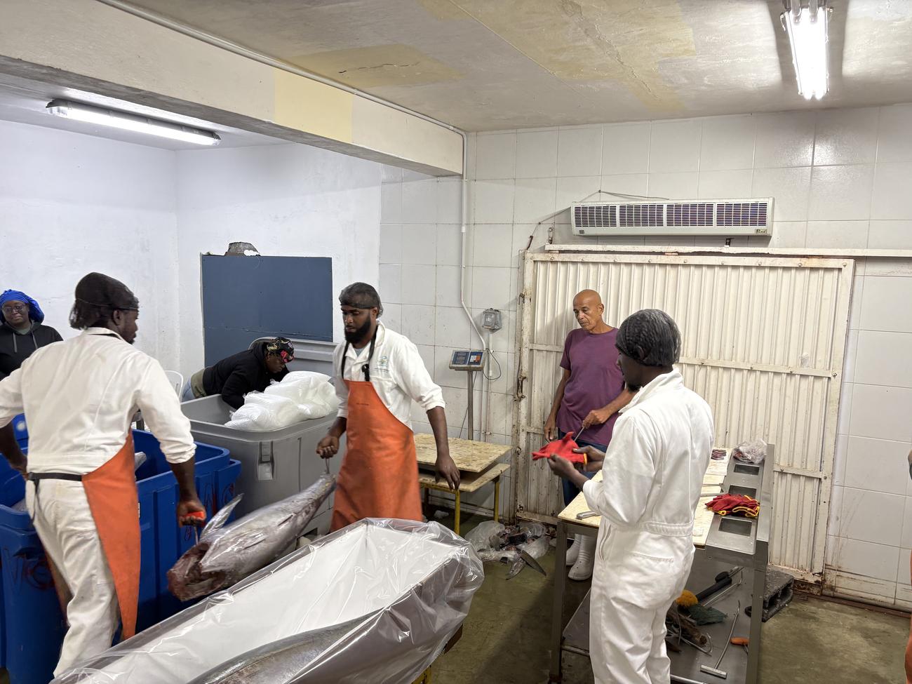 The processing floor at Grand Mal mid-shift