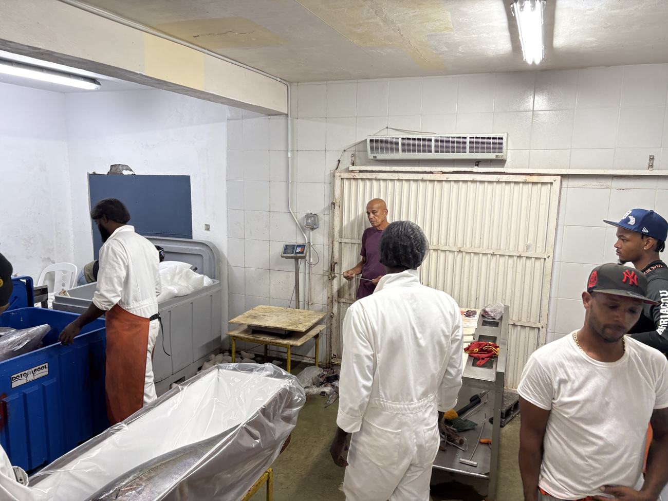 Workers in whites and aprons on the processing floor